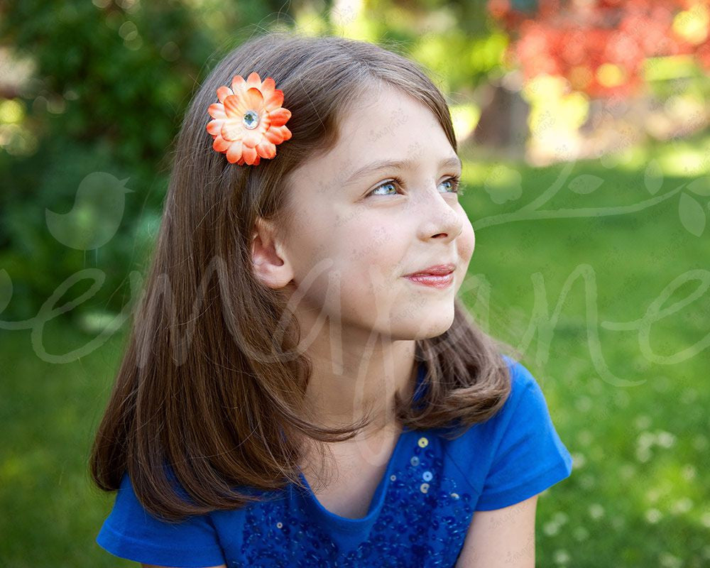 Small Bright and Colorful Gerber Daisy Flower Hair Clips - Ema Jane
