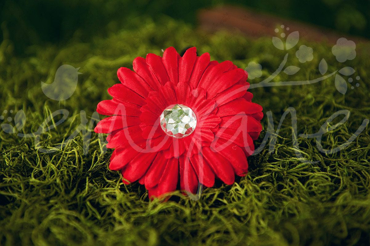 Gerber Daisy Flower Hair Clips (16) with Matching Crochet Headbands, Hair Flowers,Headbands,Hair Clips, Ema Jane Boutique