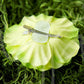 Shimmery Chiffon Jeweled Center Hair Flower Clips - Ema Jane