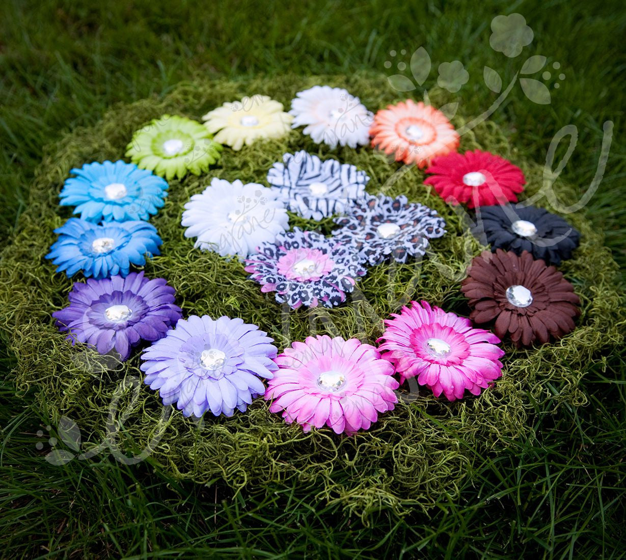 Gerber Daisy Flower Hair Clip Set (17), Hair Flowers,Hair Clips, Ema Jane Boutique