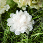 Corsage Grenadine Lace Chiffon Flower Clips, Bows,Hair Flowers,Hair Clips, Ema Jane Boutique