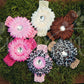 Gerber Daisy Flower Hair Clips (16) with Matching Crochet Headbands, Hair Flowers,Headbands,Hair Clips, Ema Jane Boutique
